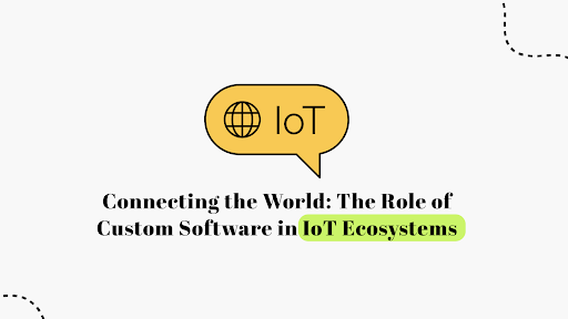 The Role of Custom Software in IoT Ecosystems | Connecting the World