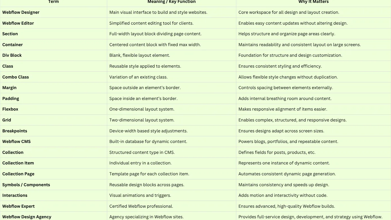 Webflow Glossary: 20 Terms Every Beginner Should Know