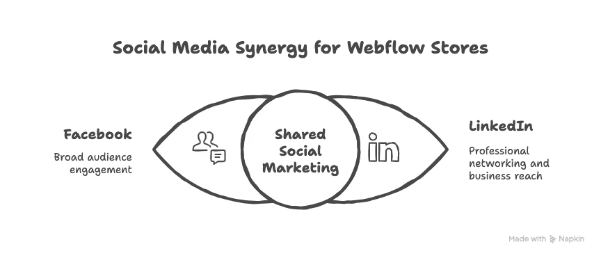 Why Is Everyone Suddenly Talking About Webflow?